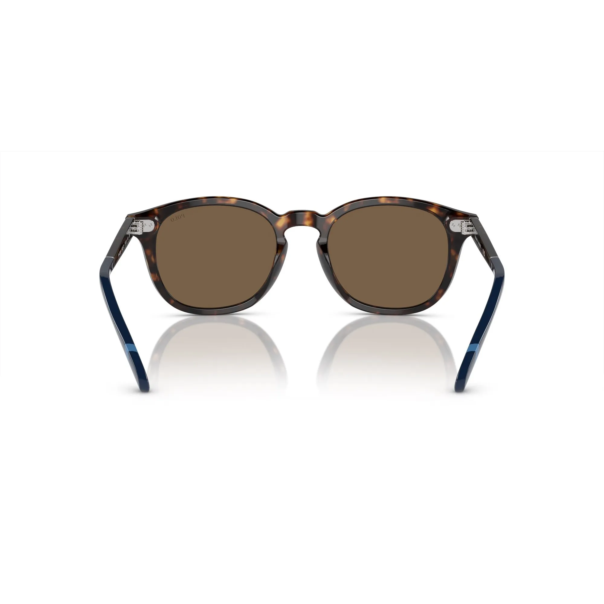   Polo PH 4206 - 500373 Avana Scuro Lucido | Occhiale Da Sole Uomo 