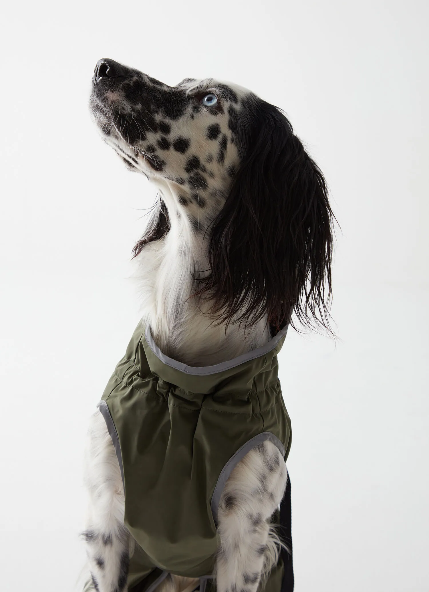 Rain-proof jacket for dogs